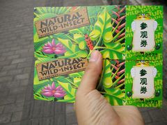 -上海大自然野生昆虫馆(东方明珠·爬宠昆虫探索中心)