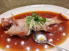 清蒸东星斑-御宝轩(益丰·外滩源店)