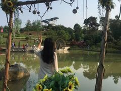 -铁山坪森林公园