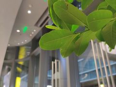 -M Stand(深圳湾后海汇店)