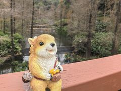 -云溪植物园