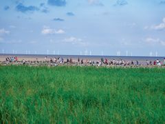 -南汇嘴观海公园