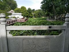 -莲湖公园
