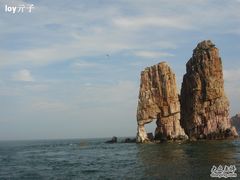 -长岛万鸟岛