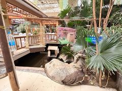 -新世纪绿洲(抚顺店)