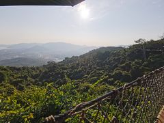 -三亚亚龙湾人间天堂鸟巢度假村