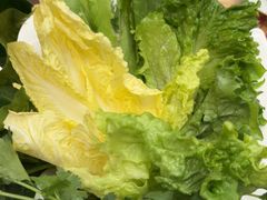 -天地源荷塘悦色主题火锅(一中店)