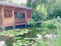 -深圳国际园林花卉博览园