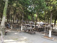 -白马涧龙池景区
