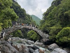 -石台牯牛降景区