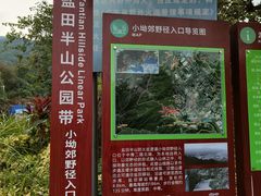 -梧桐山风景名胜区