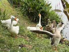 -七的湖·江南蟹舫·阳澄湖农家菜(蟹舫苑店)