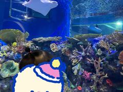 -成都浩海立方海洋公园