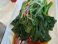 -大鸽饭(马王堆店)
