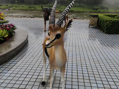 -北京野生动物园