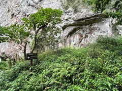 -雁荡山大龙湫景区