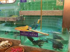 -鱼你相聚·河鲜馆(袁家岭店)