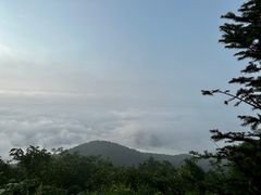 -齐岳山