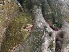 -友谊关景区