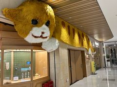 -帕帕拉兹宠物(亚洲旗舰店)