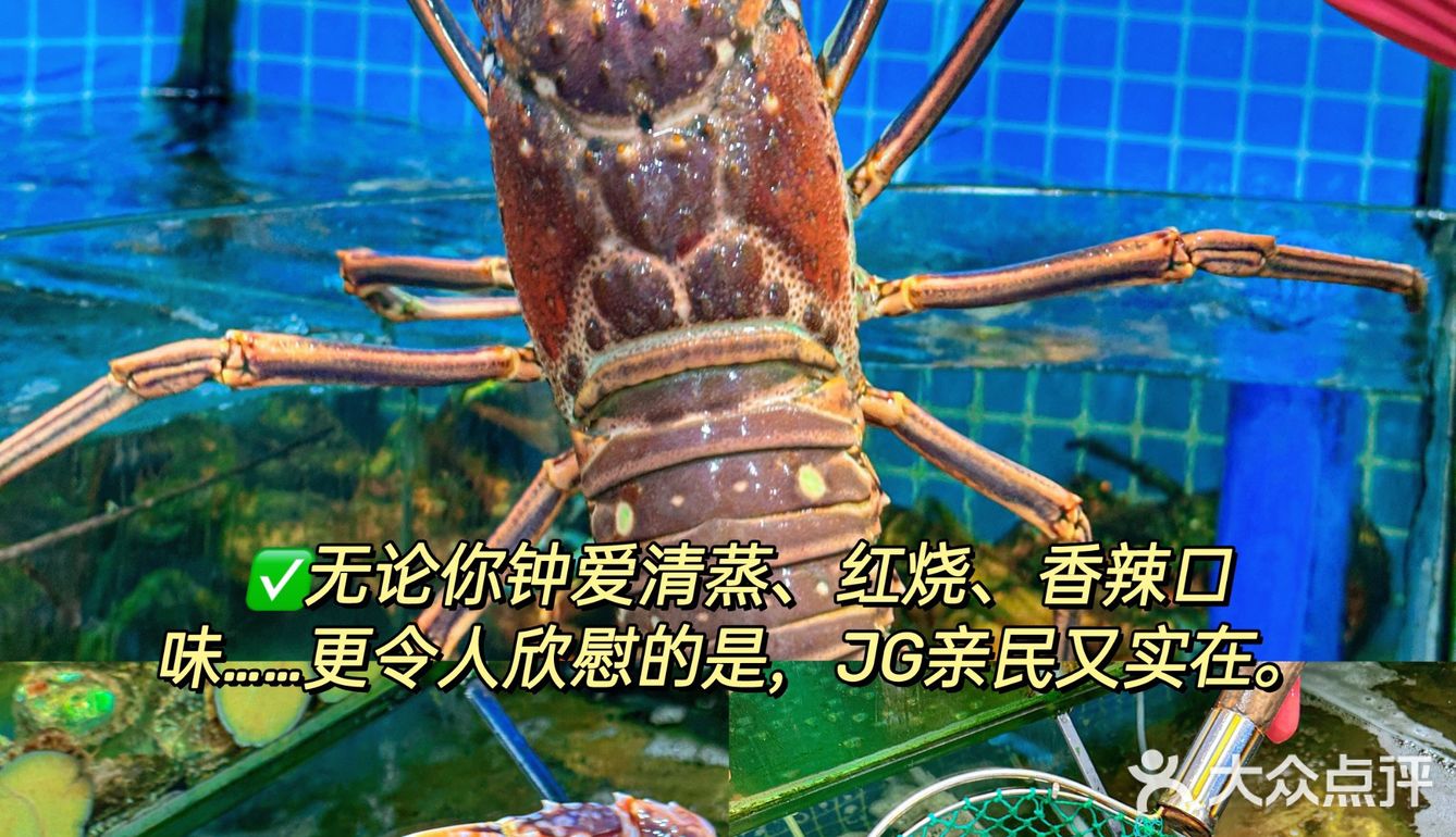 朋友聚会不来这里，你糊涂呀！