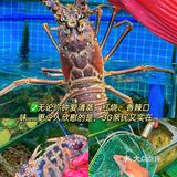 朋友聚会不来这里，你糊涂呀！