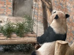 -青岛动物园
