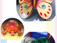 -上海昆虫博物馆