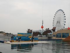 -秦皇岛乐岛海洋王国