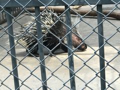 -哈尔滨北方森林动物园