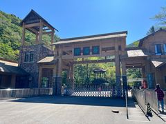 -本溪汤沟绿石谷森林公园