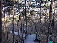 -北京西山国家森林公园