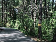 -帽儿山国家森林公园