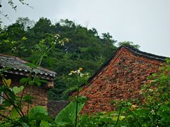 -上甘棠村