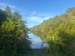 -上海海湾国家森林公园