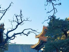 -北京国子监胡同
