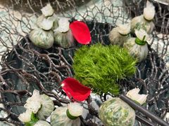 -红厨巷·淮扬菜(熙南里店)