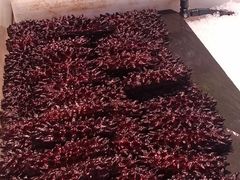 -鹿客臻鲜海鲜自助餐厅(永旺店)