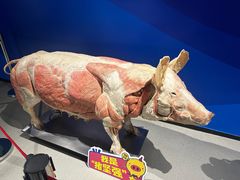 -生命奥秘博物馆