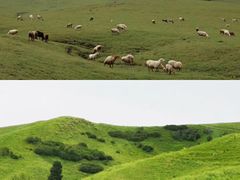 -新疆那拉提国家旅游度假区