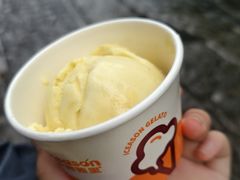 -iceason爱茜茜里·意大利健康冰淇淋(骑龙巷店)