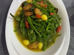 -中卫御苑福膳·养生局(圆明园店)