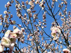 -蜀冈西峰生态公园