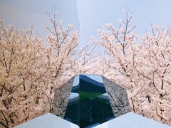 -龙美术馆(西岸馆)