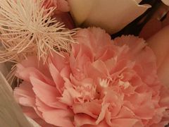 -茉里乐章(花园店)