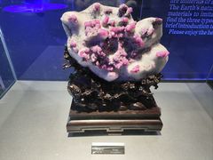 -中国地质博物馆