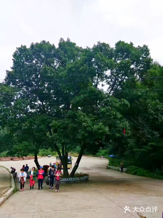 吊水壶国家森林公园图片