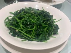 -海都六福酒家(世博广场店)