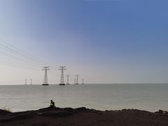 -宝安西湾红树林湿地公园