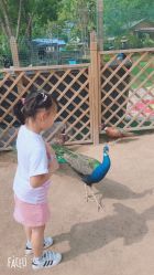 -萌宠亲子动物乐园(槐房万达店)